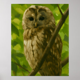 Realistisk målning av Uggla i Woodland Setting Poster