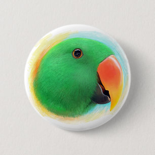Realistisk målning för grön eclectuspapegoja knapp