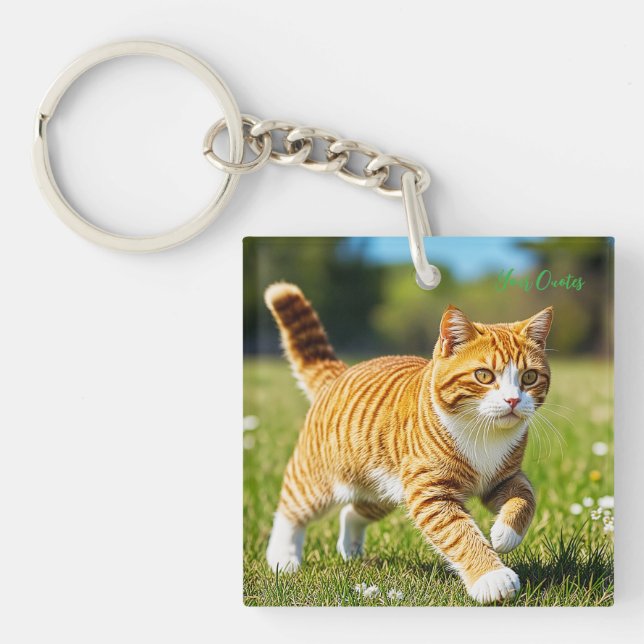 Realistisk orange tabby-katt i solig äng (Framsidan)