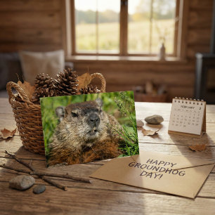 Realistisk Pipmott Närbild Natur Vilda Djur Foto Vykort