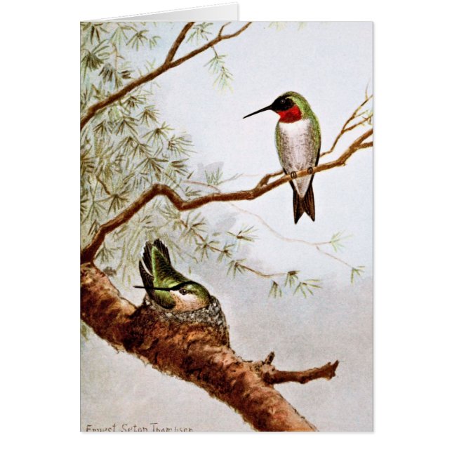 Realistisk Ruby-Throated Hummingbirdkonst Hälsningskort (Framsidan)