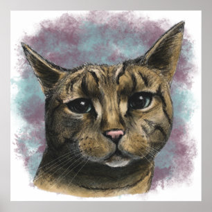 Realistisk teckning för nära övre tabby katt poster