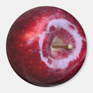 Realistisk Yummy Red Apple-kylare, magnet
