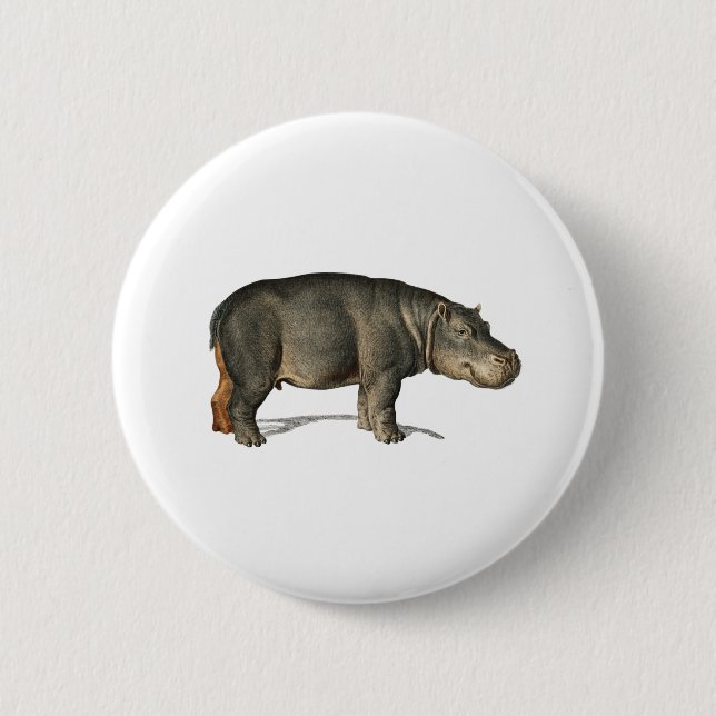 Realistiskt Hippo Illustration hippopotamus Knapp (Framsida)