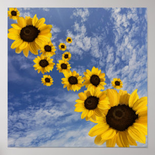 Realistiskt sol-blommor i blå himmel poster