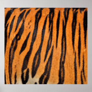 Realistiskt tiger skin struktur. poster