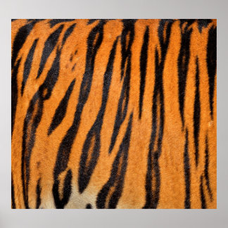 Realistiskt tiger skin struktur. poster