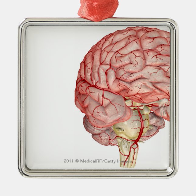 Realitic tolkning av människahjärnan julgransprydnad metall (Framsidan)