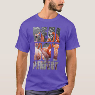 Realt inte Perfekt Citat Flamingoropiska fåglar lu T Shirt