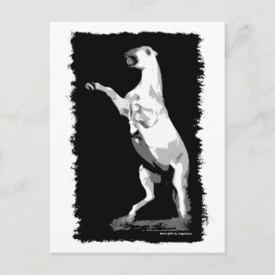 Rearing Andalusien Stallion Vykort