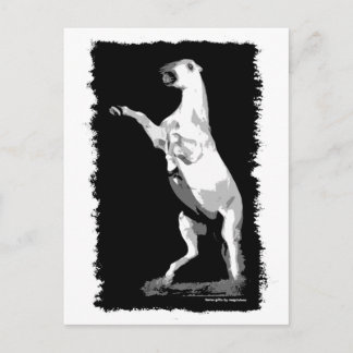 Rearing Andalusien Stallion Vykort
