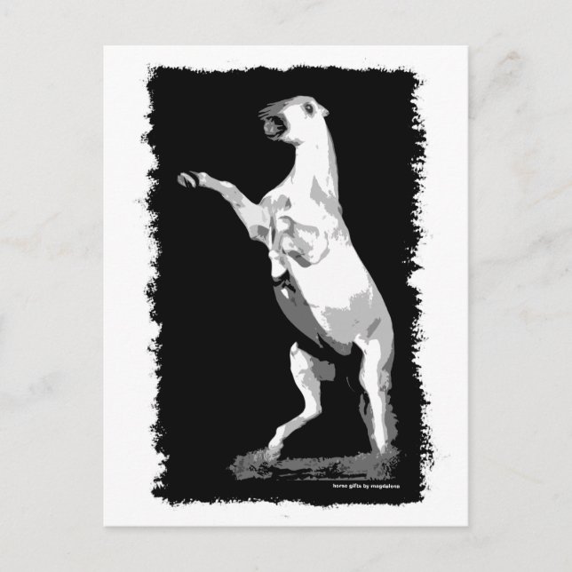 Rearing Andalusien Stallion Vykort (Framsida)