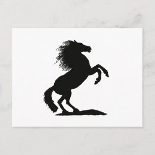 Rearing Black Stallion - Vykort