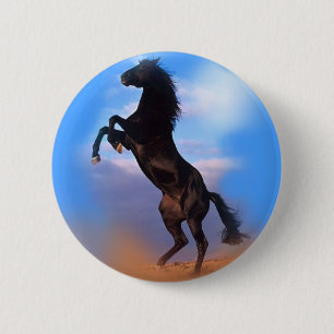 Rearing Horse Knapp