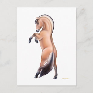 Rearing Norway Fjord Horse Postcard Vykort