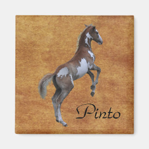 Rearing Pinto Pony Horse-älskare Gift Magnet