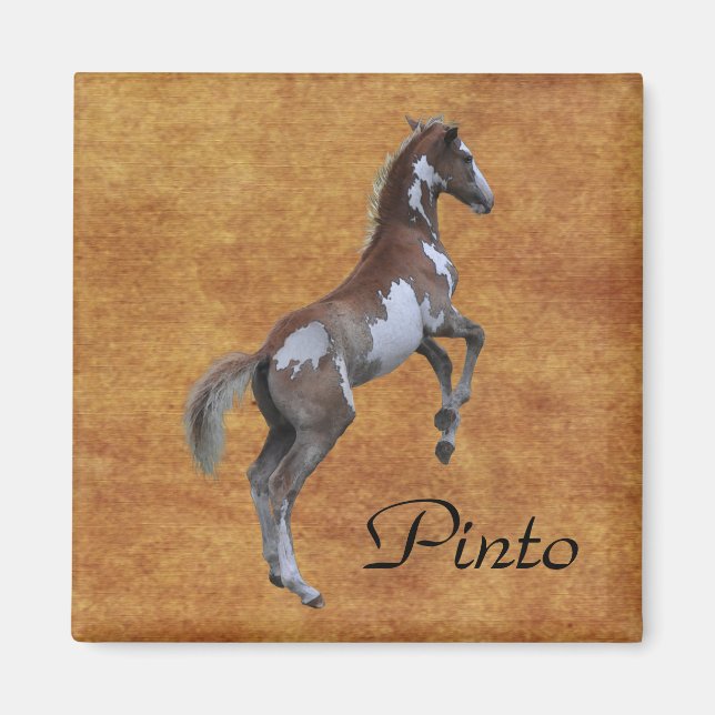 Rearing Pinto Pony Horse-älskare Gift Magnet (Framsidan)