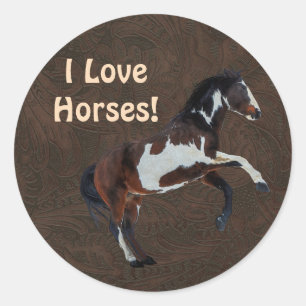 Rearing Pinto Stallion Horse on faux Leather BG Runt Klistermärke