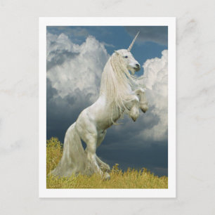 Rearing Unicorn Vykort