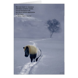 "Reawakening" Thoreau kort