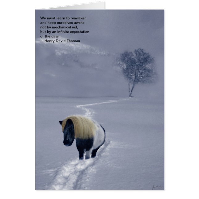 "Reawakening" Thoreau kort (Framsidan)