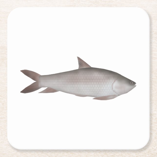 Reba Carp Underlägg Papper Kvadrat (Framsidan)