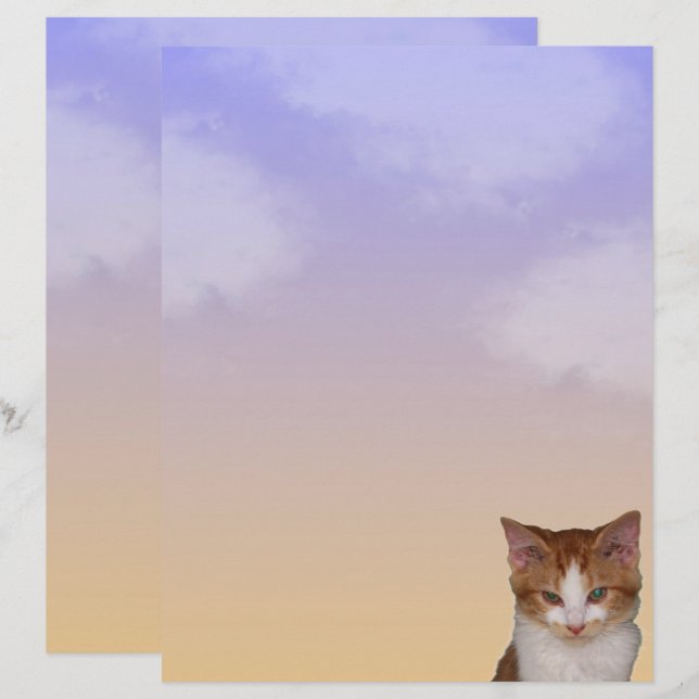 Reba's Cat-itude Stationery (Fram/baksida)