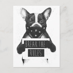 Rebel dog vykort