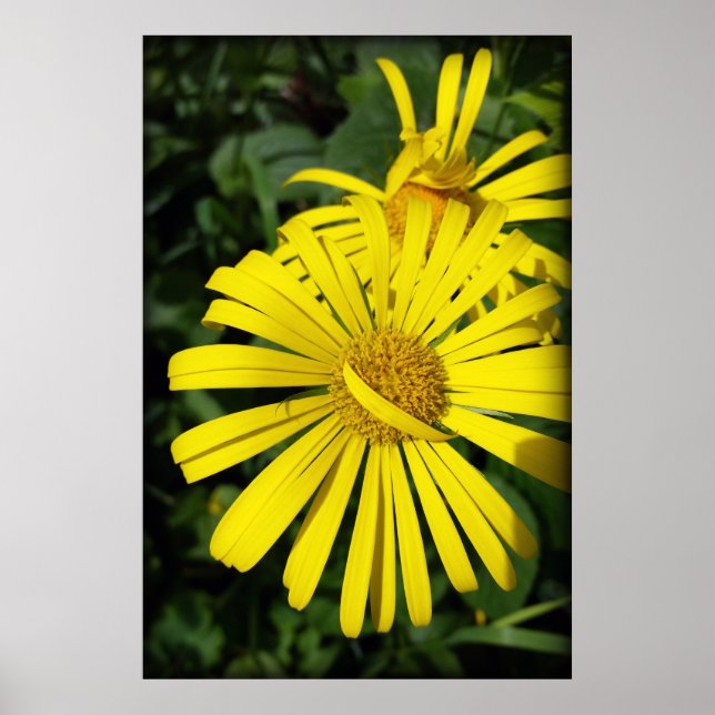 rebellsubstanser poster (Framsidan)