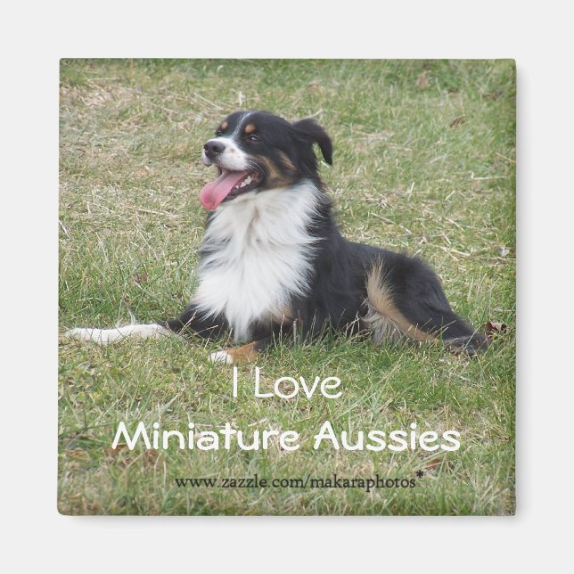 RebelMagnet-anpassa Magnet (Framsidan)