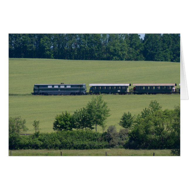 Reblaus Express Hälsningskort (Framsidan Horizontal)