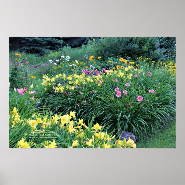 Reblooming Daylily Gardens Poster (Framsidan)