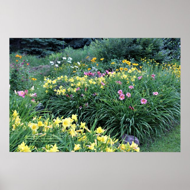 Reblooming Daylily Gardens Rainy Day Poster (Framsidan)