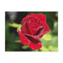 Receptkort Chocolate Chip peanut Butter Cookie