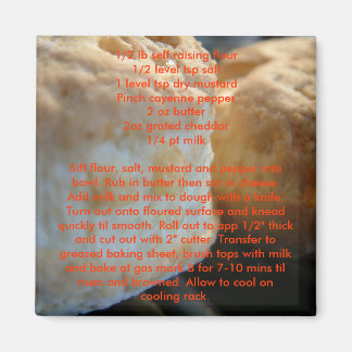 Receptmagneter - ostscones magnet