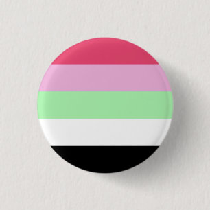 Recipromantiska Prideflagga Knapp