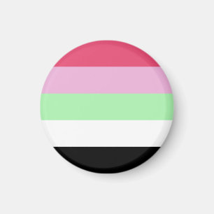Recipromantiska Prideflagga Magnet