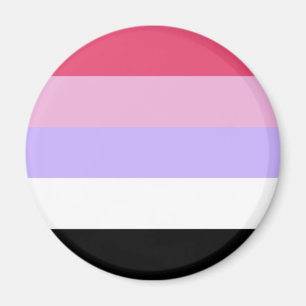 Reciprosexual Pride Flagga Magnet