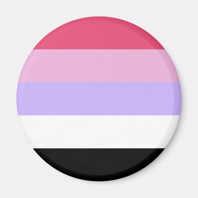Reciprosexual Pride Flagga Magnet (Framsidan)