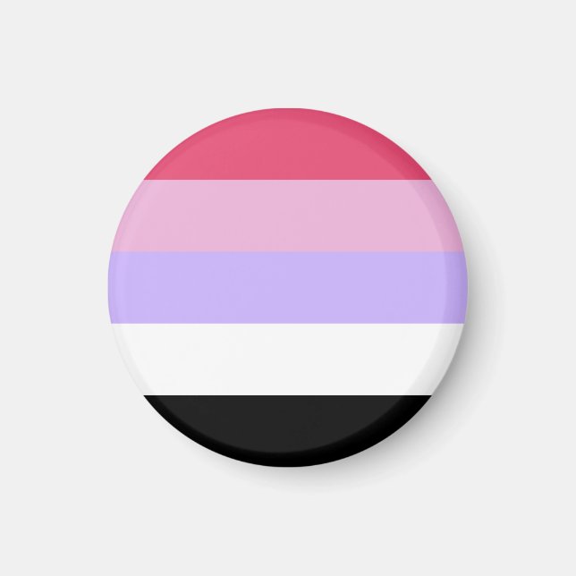 Reciprosexual Pride Flagga Magnet (Framsidan)