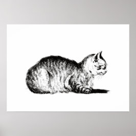 Reclining cat, to the lämnat, Jean Bernard, 1812 Poster