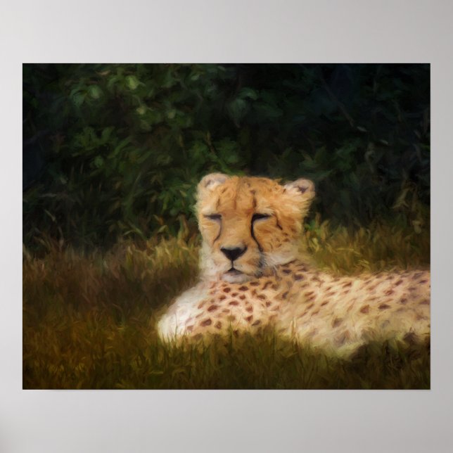 Reclining Cheetah at Fossil Rim Poster (Framsidan)