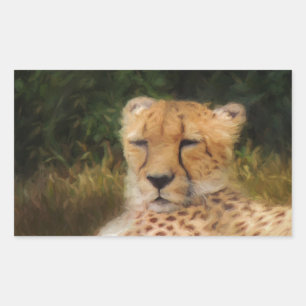 Reclining Cheetah at Fossil Rim Wildlife Center Rektangulärt Klistermärke