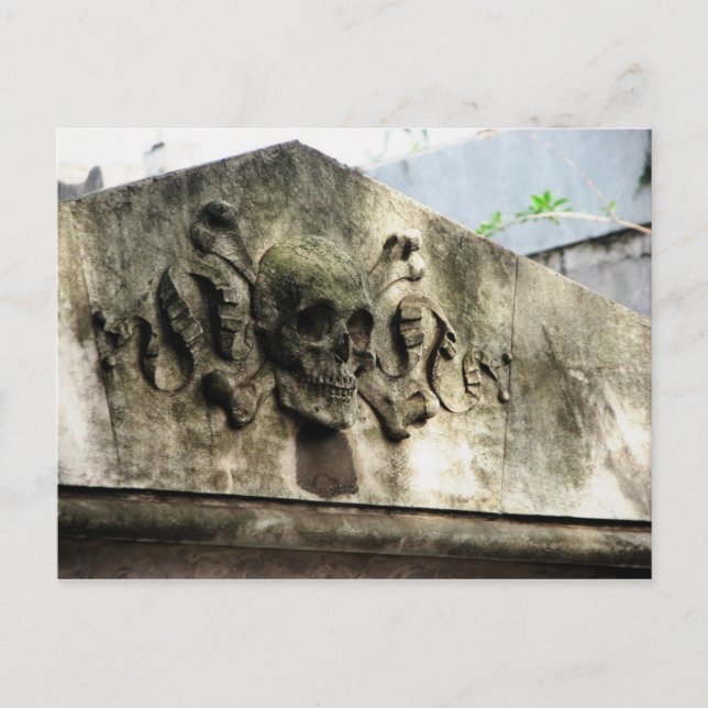 Recoleta Cemetery, Buenos Aires, Argentina Vykort (Framsida)