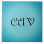 Recoleta Cornblomma Blue Kakelplatta<br><div class="desc">Den här vackra kornblomsblå filten behållor dig varmt när du är blå. Det kan också vara personlig att göra det till en egen unik filt</div>