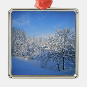 Recordsnö i Louisville, Kentucky. Julgransprydnad Metall