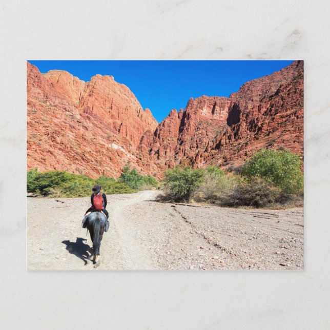 Recorriendo los valles de Tupiza, Bolivia. Vykort (Framsida)