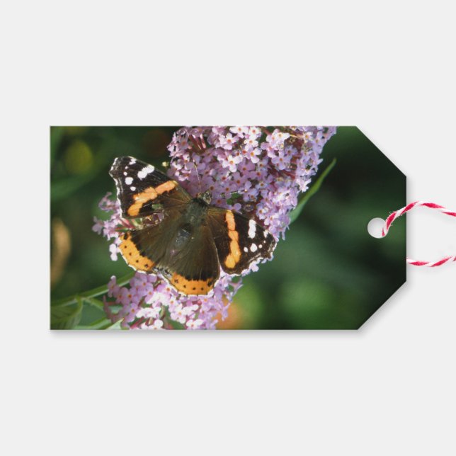 Red Admiral Butterfly och Buddleia Anpassningsbar  Presentetikett (Framsidan (Horizontal))