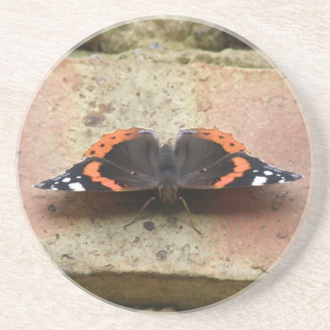 Red Admiral Butterfly Underlägg Sandsten (Framsidan)