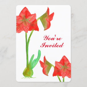 Red Amaryllis Flowers 50:e Födelsedagsfesten Inbju Inbjudningar